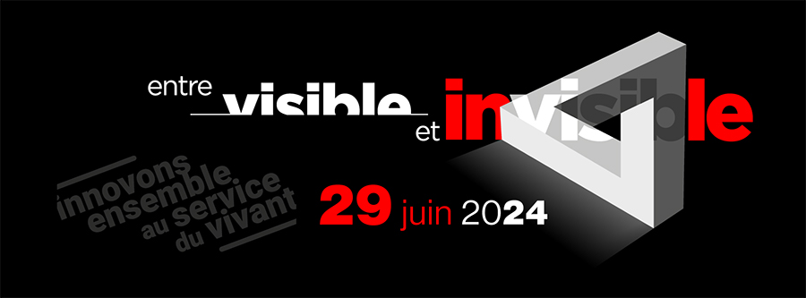 création identité visuelle communication globale